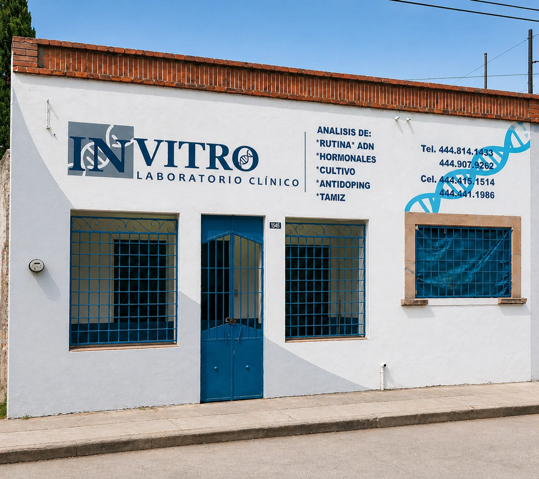 Fachada IN VITRO - Damián Carmona